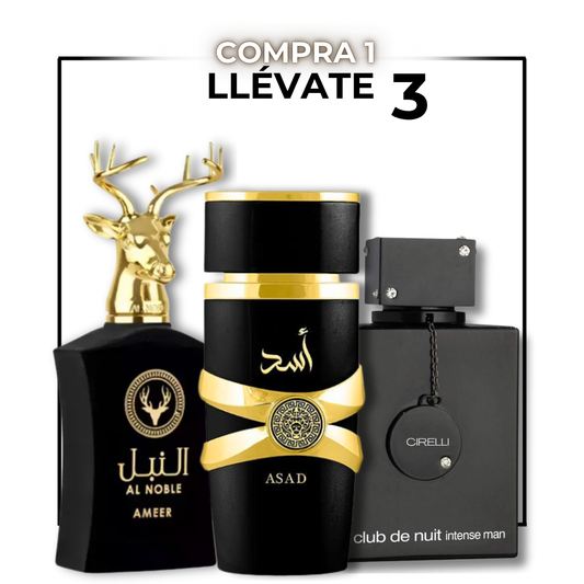Pack Trio Perfumes Árabes para Hombre – Nuit Intense | Assad | Noble Essence